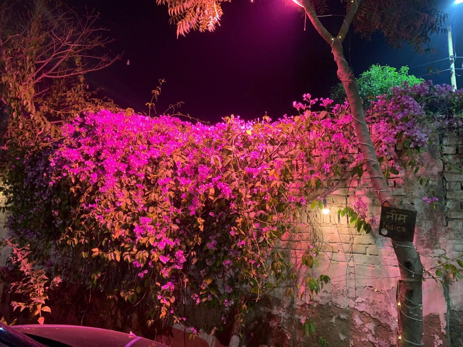 Nature Resort Agra  Eksteriør billede