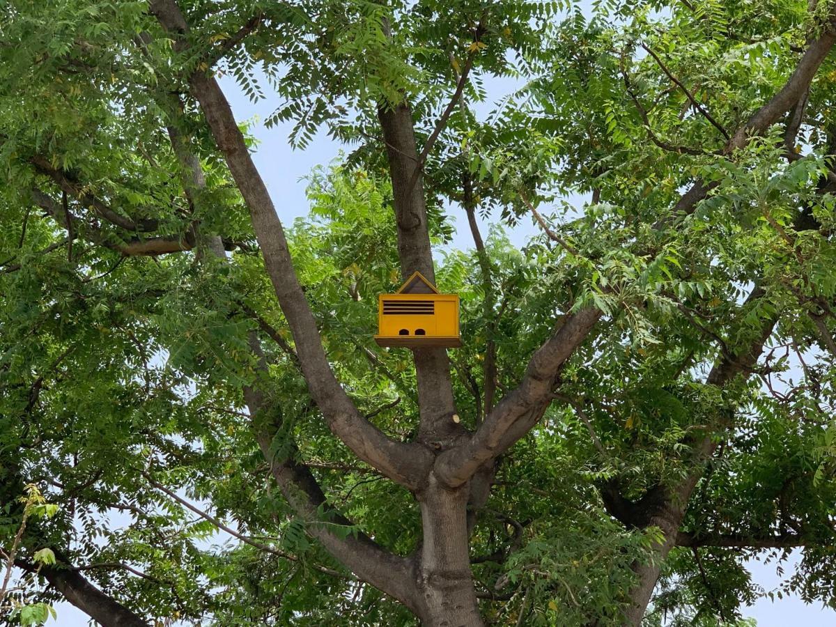 Nature Resort Agra  Eksteriør billede